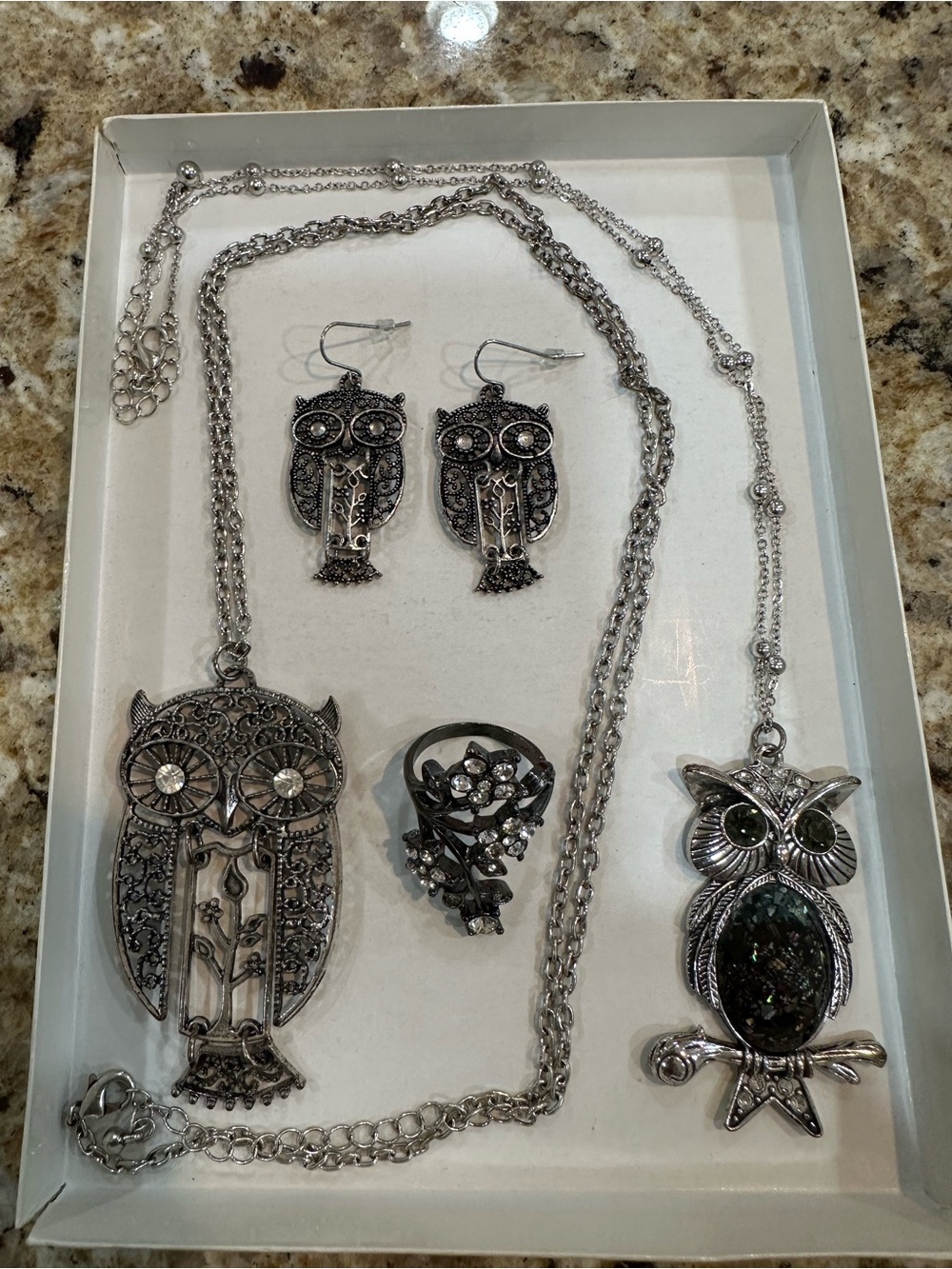 5 piece Silver-Tone Owl Jewelry Set - 2 Necklace, Earrings & Ring